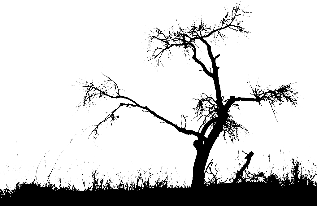 arbol seco negro